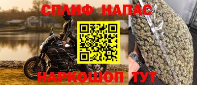 хмурый Кинель