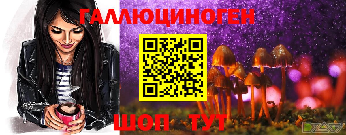 купить наркотик  Галлюциногенные грибы Psilocybe  Вход с VPN  Армавир  Галлюциногенные грибы прущие грибы 
